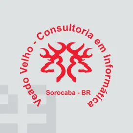 Veado Velho Consultoria Em Informatica